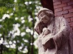 фигуры, лето