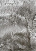 Лес. Бумага. Тушь. 2000г.